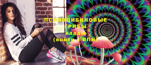 шишки Алзамай