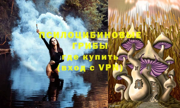 ПСИЛОЦИБИНОВЫЕ ГРИБЫ Алексеевка
