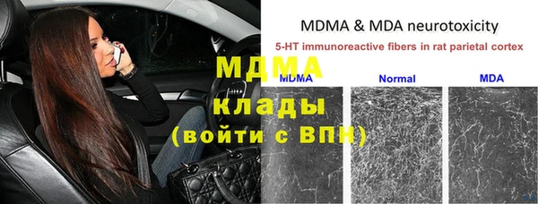 шишки Алзамай